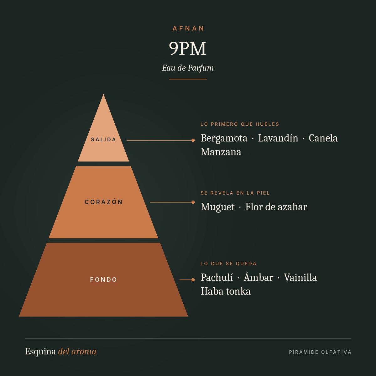 9PM de Afnan, pirámide olfativa